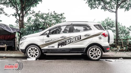 Tem-Xe-Ecosport-0003.3-650k