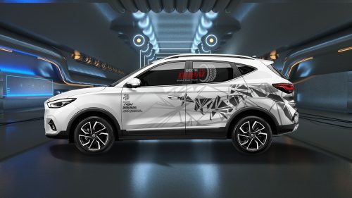 Tem Xe MG ZS 060413
