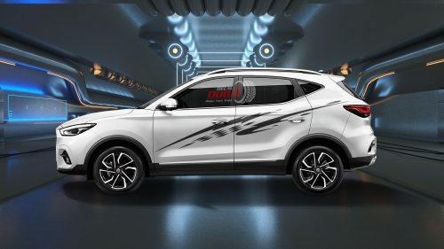 Tem Xe MG ZS 060414