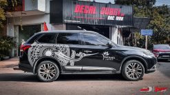 Tem Xe Outlander