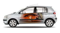 Tem xe Hyundai GetzThể Thao 0008