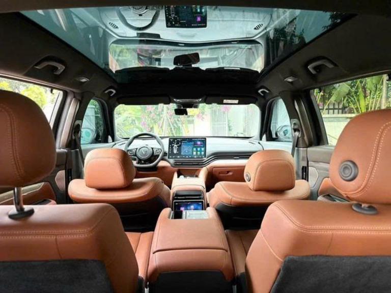 Bản độ ghé chỉnh điện Vinfast Limo Green 4 hướng